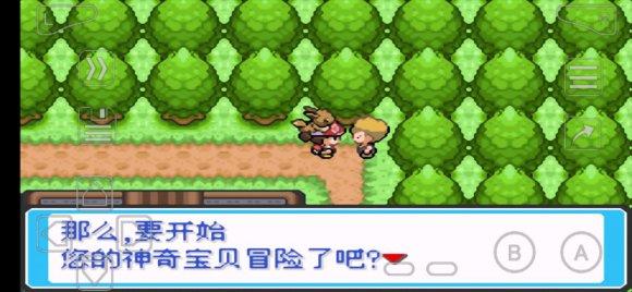 口袋妖怪letsgo三周目攻略(口袋妖怪let39sgo攻略)