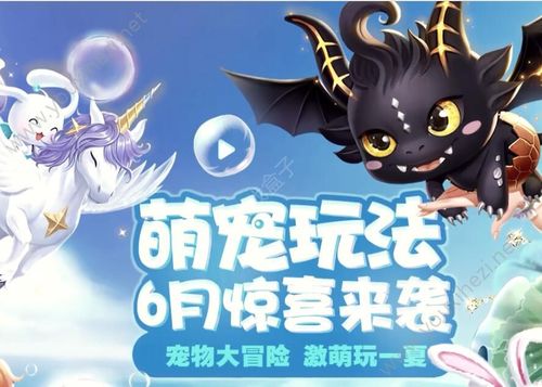 宠物旅行攻略炫舞手游下载(宠物旅行攻略炫舞手游)