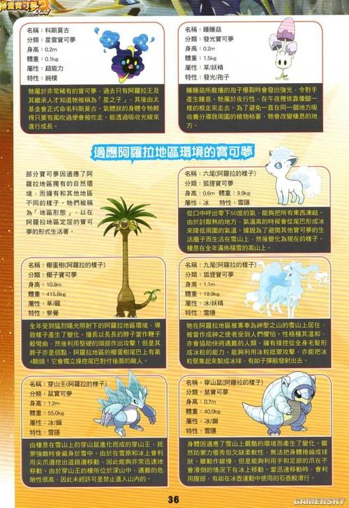 口袋妖怪银版第二期(口袋妖怪银版第二个图攻略)