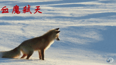 dnf红眼新技能