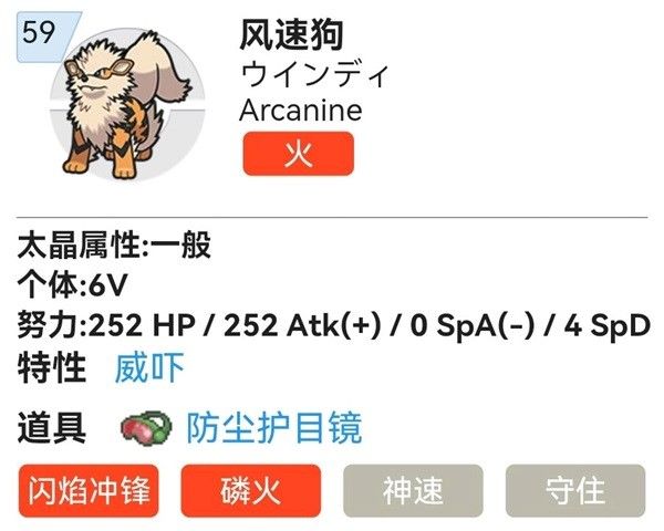 《宝可梦朱紫》S2双打霓虹鱼队推荐