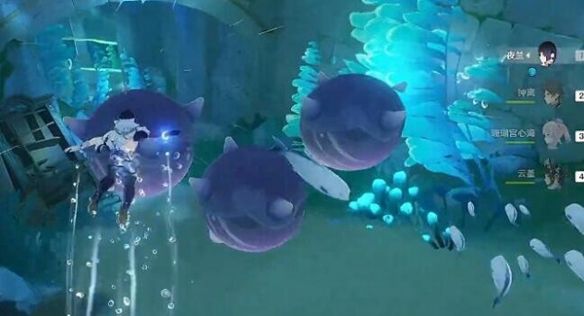 《原神》如海兔般闪避活动玩法介绍