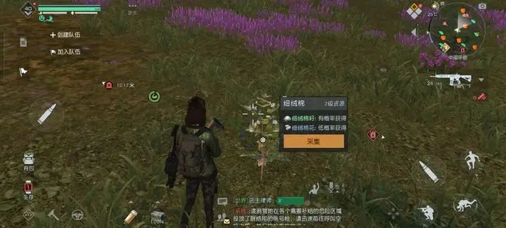 《黎明觉醒》细绒棉花获取方法介绍
