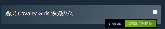 铁骑少女