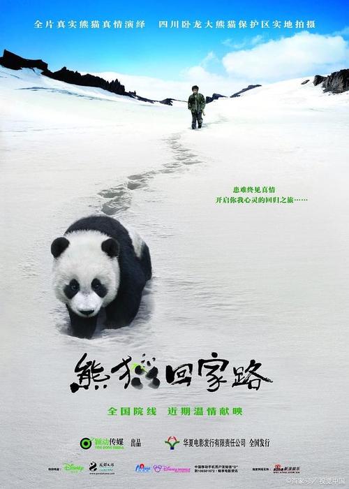 欢迎你来到美国(美国欢迎你金牌任务攻略) 欢迎你来到美国(美国欢迎你金牌任务攻略)
