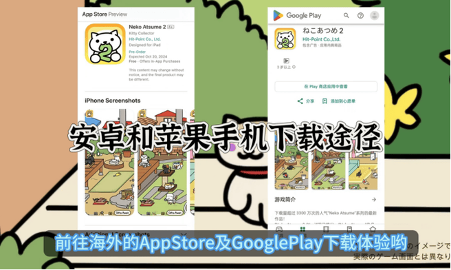 猫咪后院游戏怎么玩(猫咪后院攻略扩建)