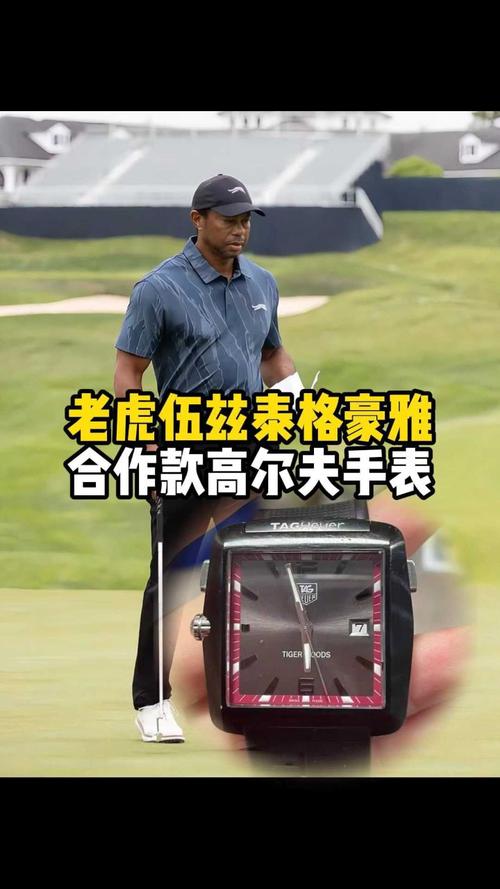 如何提高泰格的暴击率  提高泰格的暴击率攻略