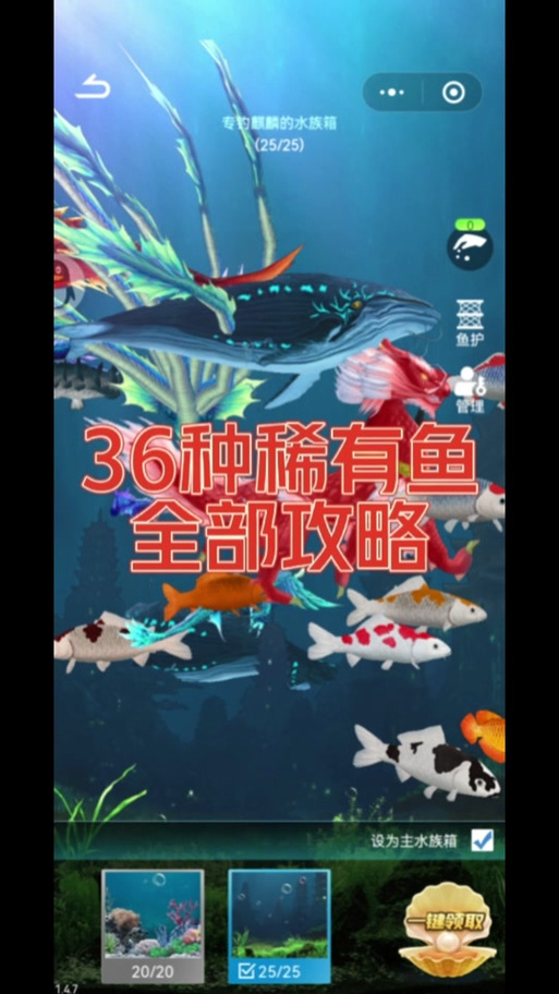如何获取更多稀有鱼  获取更多稀有鱼攻略