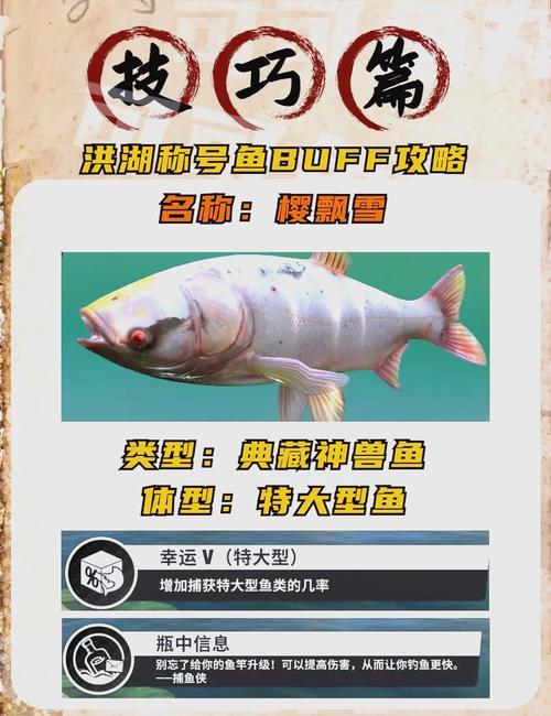 如何获取更多稀有鱼  获取更多稀有鱼攻略